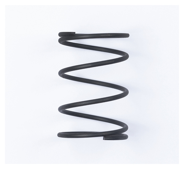 Sprężyna flanszy w220